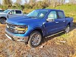 New 2024 Ford F-150 XLT SuperCrew Cab 4x4, Pickup for sale #5N3526 - photo 3