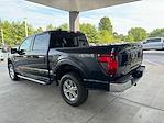 New 2024 Ford F-150 XLT SuperCrew Cab 4x4, Pickup for sale #3A12449 - photo 7