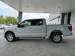 New 2024 Ford F-150 XLT SuperCrew Cab 4x4, Pickup for sale #3A18226 - photo 8