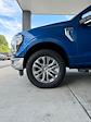 New 2024 Ford F-150 Lariat SuperCrew Cab 4x4, Pickup for sale #3A88186 - photo 10