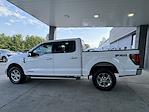 New 2024 Ford F-150 XLT SuperCrew Cab 4x4, Pickup for sale #3B45743 - photo 8