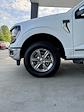 New 2024 Ford F-150 XLT SuperCrew Cab 4x4, Pickup for sale #3B45743 - photo 10