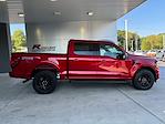 New 2024 Ford F-150 XLT SuperCrew Cab 4x4, Pickup for sale #3B45875 - photo 5