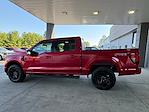 New 2024 Ford F-150 XLT SuperCrew Cab 4x4, Pickup for sale #3B45875 - photo 8