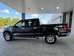 New 2024 Ford F-150 XLT SuperCrew Cab 4x4, Pickup for sale #3B45990 - photo 8