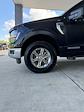 New 2024 Ford F-150 XLT SuperCrew Cab 4x4, Pickup for sale #3B45990 - photo 10