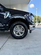 New 2024 Ford F-150 XLT SuperCrew Cab 4x4, Pickup for sale #3B45990 - photo 12