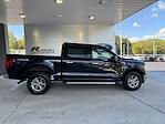 New 2024 Ford F-150 XLT SuperCrew Cab 4x4, Pickup for sale #3B45990 - photo 5