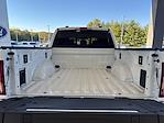 2024 Ford F-150 SuperCrew Cab 4x4, Pickup for sale #3B46255 - photo 6