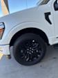 2024 Ford F-150 SuperCrew Cab 4x4, Pickup for sale #3B46255 - photo 11