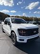 New 2024 Ford F-150 XLT SuperCrew Cab 4x4, Pickup for sale #3B98671 - photo 4