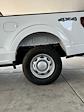 New 2024 Ford F-150 XL Super Cab 4x4, Pickup for sale #3D82842 - photo 11