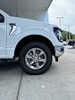 New 2024 Ford F-150 XLT SuperCrew Cab 4x4, Pickup for sale #3E06858 - photo 12