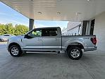 New 2024 Ford F-150 XLT SuperCrew Cab 4x4, Pickup for sale #3E08942 - photo 8