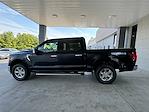 New 2024 Ford F-150 XLT SuperCrew Cab 4x4, Pickup for sale #3E09180 - photo 8