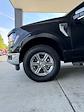 New 2024 Ford F-150 XLT SuperCrew Cab 4x4, Pickup for sale #3E09180 - photo 10