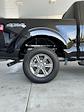 New 2024 Ford F-150 XLT SuperCrew Cab 4x4, Pickup for sale #3E09180 - photo 13