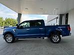 New 2024 Ford F-150 XLT SuperCrew Cab 4x4, Pickup for sale #3E09624 - photo 8