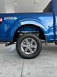 New 2024 Ford F-150 XLT SuperCrew Cab 4x4, Pickup for sale #3E09624 - photo 13