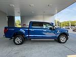 New 2024 Ford F-150 XLT SuperCrew Cab 4x4, Pickup for sale #3E09624 - photo 5