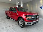 New 2024 Ford F-150 XLT SuperCrew Cab 4x4, Pickup for sale #3E38389 - photo 3