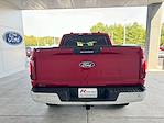 New 2024 Ford F-150 XLT SuperCrew Cab 4x4, Pickup for sale #3E38389 - photo 6