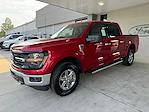 New 2024 Ford F-150 XLT SuperCrew Cab 4x4, Pickup for sale #3E38389 - photo 9