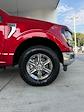 New 2024 Ford F-150 XLT SuperCrew Cab 4x4, Pickup for sale #3E38389 - photo 12