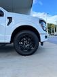 New 2024 Ford F-150 STX SuperCrew Cab 4x4, Pickup for sale #3E48269 - photo 12