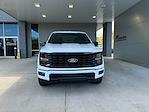 New 2024 Ford F-150 STX SuperCrew Cab 4x4, Pickup for sale #3E48269 - photo 4