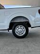 New 2024 Ford F-150 XL Super Cab 4x2, Pickup for sale #3E55895 - photo 11