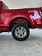 New 2024 Ford F-150 XLT SuperCrew Cab 4x4, Pickup for sale #3E60393 - photo 11