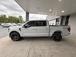 New 2024 Ford F-150 XLT SuperCrew Cab 4x4, Pickup for sale #3E60612 - photo 8