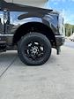 New 2024 Ford F-250 XLT Crew Cab 4x4, Pickup for sale #3E67491 - photo 12