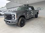 New 2024 Ford F-250 XLT Crew Cab 4x4, Pickup for sale #3E71270 - photo 9