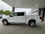 New 2024 Ford F-150 XLT SuperCrew Cab 4x4, Pickup for sale #3E84043 - photo 8