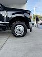 New 2024 Ford F-350 XL Crew Cab 4x4, Cab Chassis for sale #3F03978 - photo 13