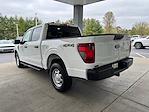 New 2024 Ford F-150 XL SuperCrew Cab 4x4, Pickup for sale #3F49314 - photo 6