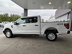 New 2024 Ford F-150 XL SuperCrew Cab 4x4, Pickup for sale #3F49314 - photo 7