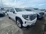 2023 GMC Sierra 1500 Crew Cab 4x2, Pickup for sale #G11294B - photo 3