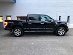 2023 Ford F-150 SuperCrew Cab 4x4, Pickup for sale #APFC05822 - photo 11