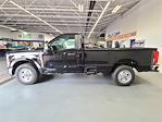 2024 Ford F-350 Regular Cab SRW 4x2, Pickup for sale #C24CF274 - photo 8