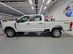 New 2024 Ford F-250 XL Crew Cab 4x4, Pickup for sale #C24CF420 - photo 7