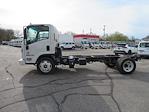 2023 Isuzu NQR Regular Cab 4x2, Cab Chassis for sale #6710 - photo 7