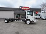 New 2024 Isuzu NQR Regular Cab 4x2, Cab Chassis for sale #6730 - photo 4