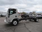 New 2024 Isuzu NQR Regular Cab 4x2, Cab Chassis for sale #6730 - photo 6