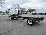 New 2024 Isuzu NQR Regular Cab 4x2, Cab Chassis for sale #6730 - photo 8