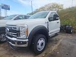 2023 Ford F-450 Regular Cab DRW 4x2, Cab Chassis for sale #26609 - photo 1