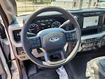 2024 Ford F-250 Regular Cab 4x4, Pickup for sale #27613 - photo 9