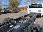 2024 Ford F-600 Regular Cab DRW 4x2, Cab Chassis for sale #42749 - photo 11